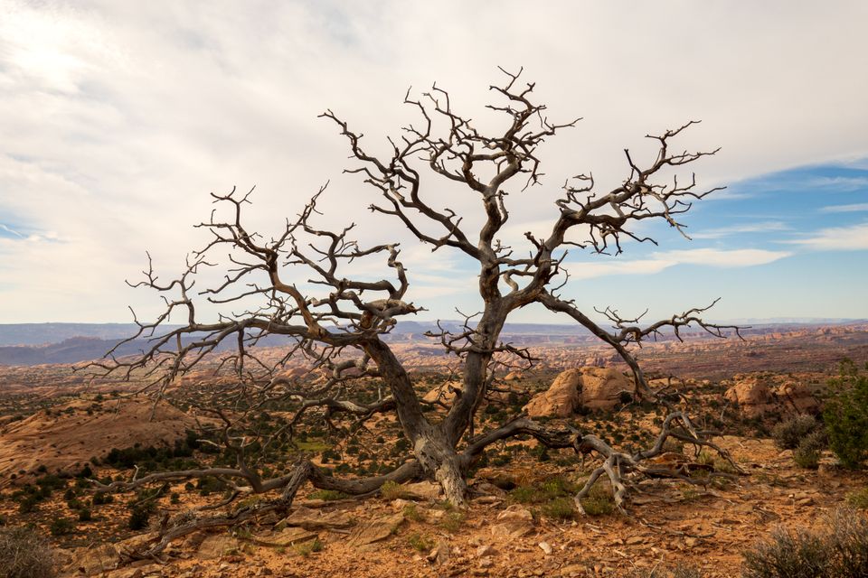 Landscape photograph 198 by Lucas Vertrees