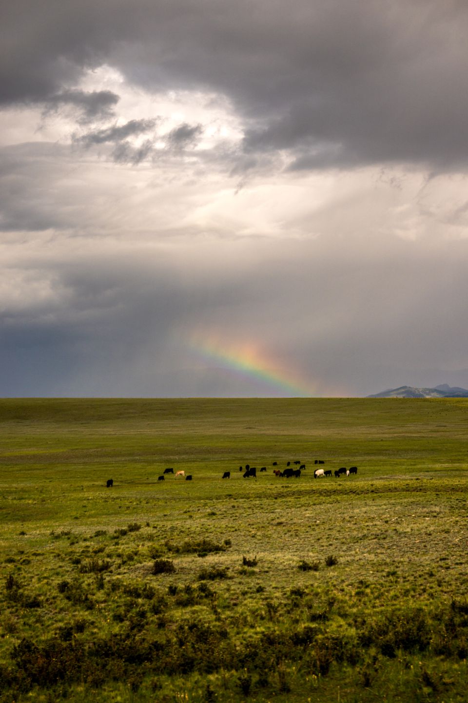 Landscape photograph 14 by Lucas Vertrees
