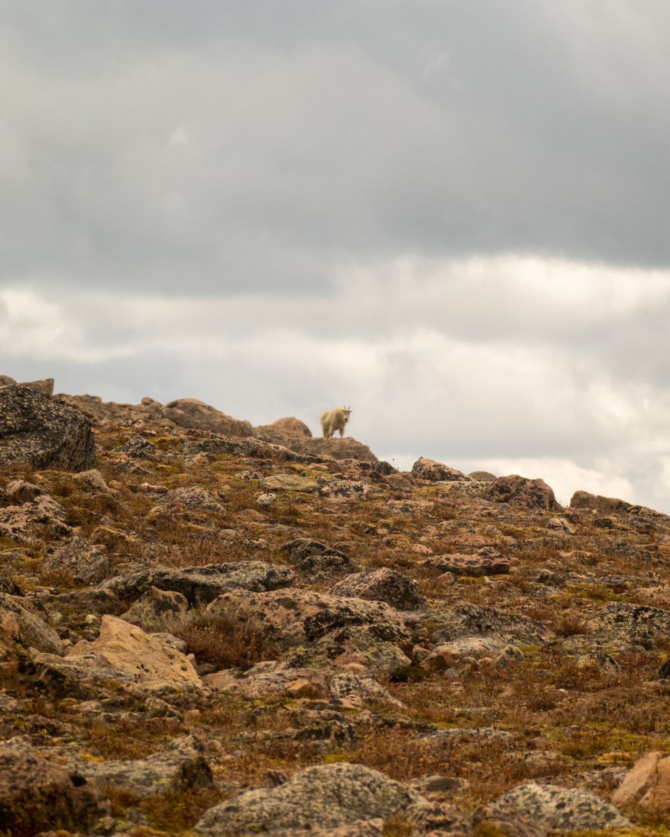 Landscape photograph 22 by Lucas Vertrees