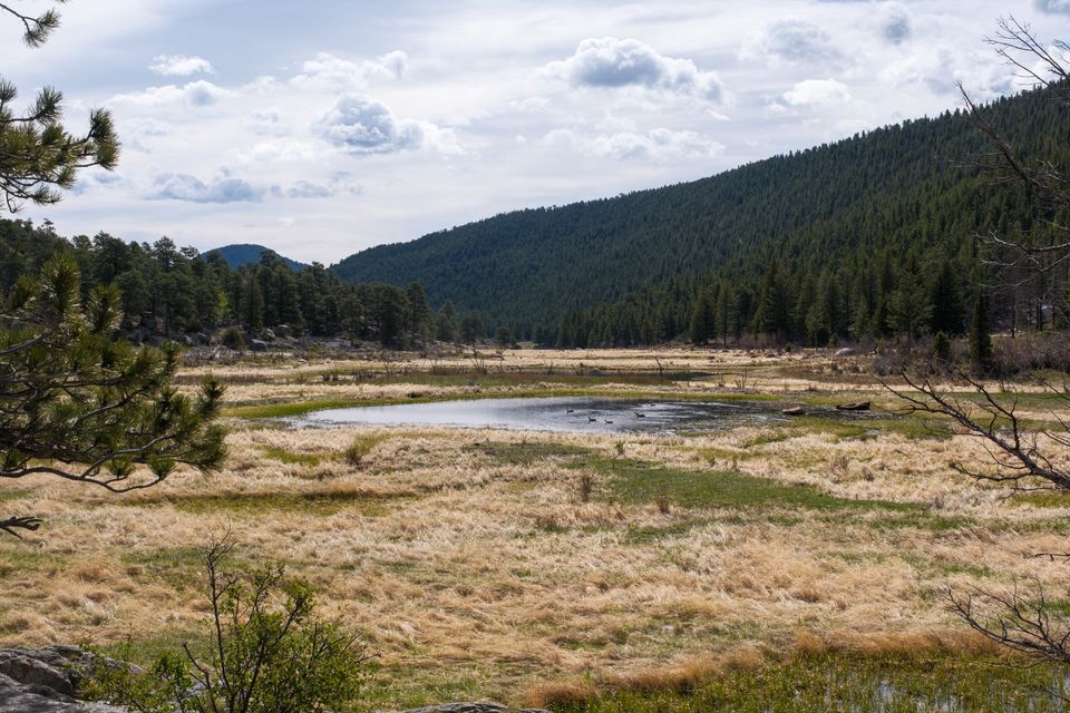 Landscape photograph 15 by Lucas Vertrees