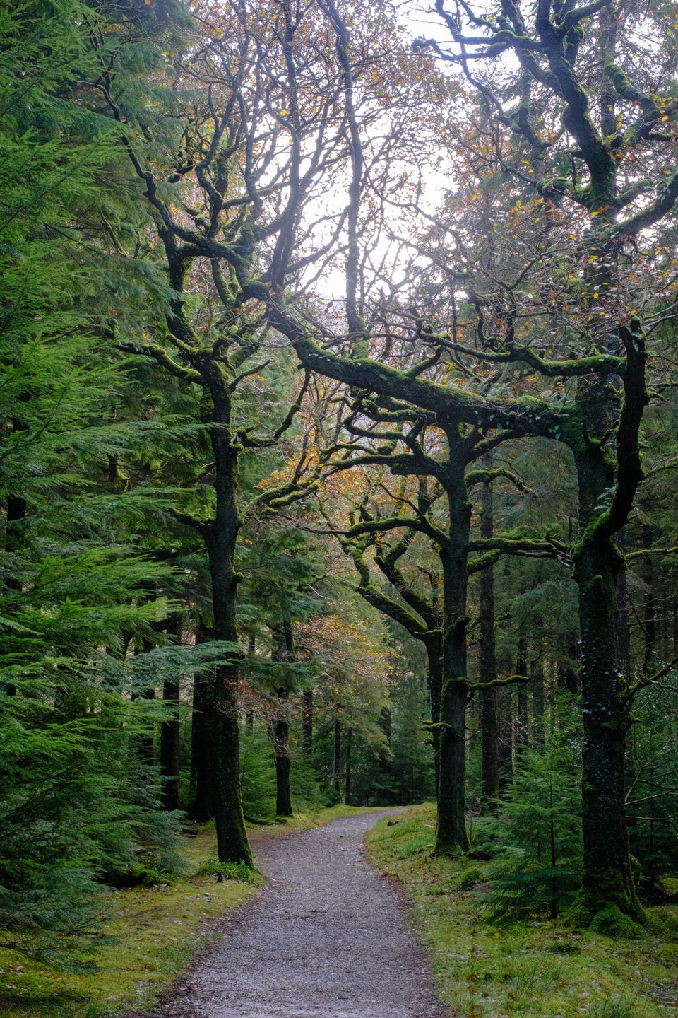 Landscape photograph 32 by Lucas Vertrees