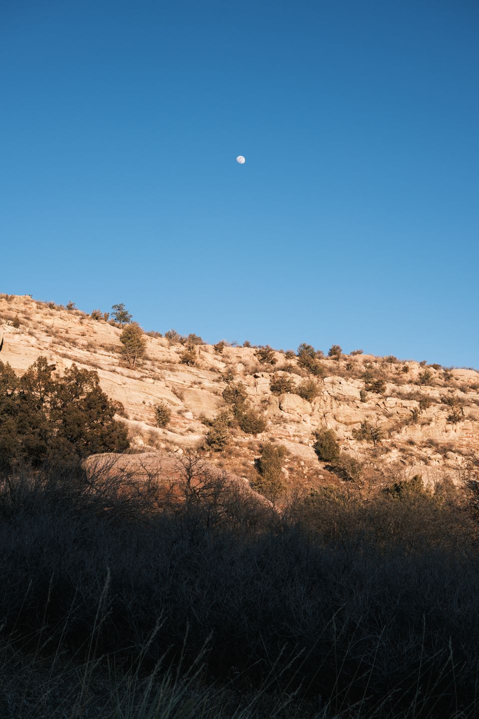 Landscape photograph 166 by Lucas Vertrees