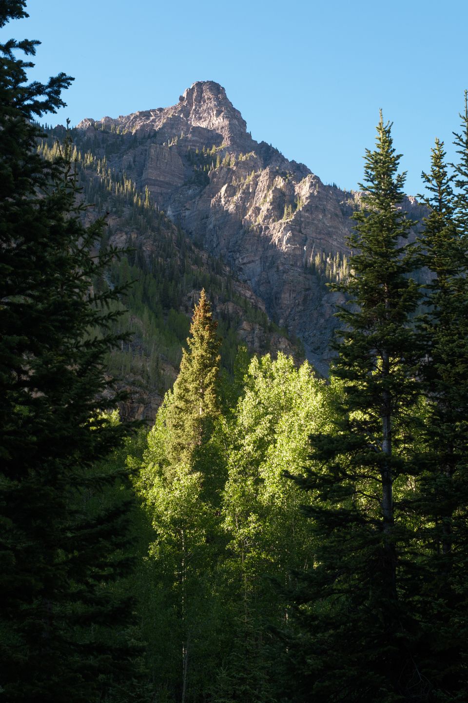 Recent photograph by Lucas Vertrees