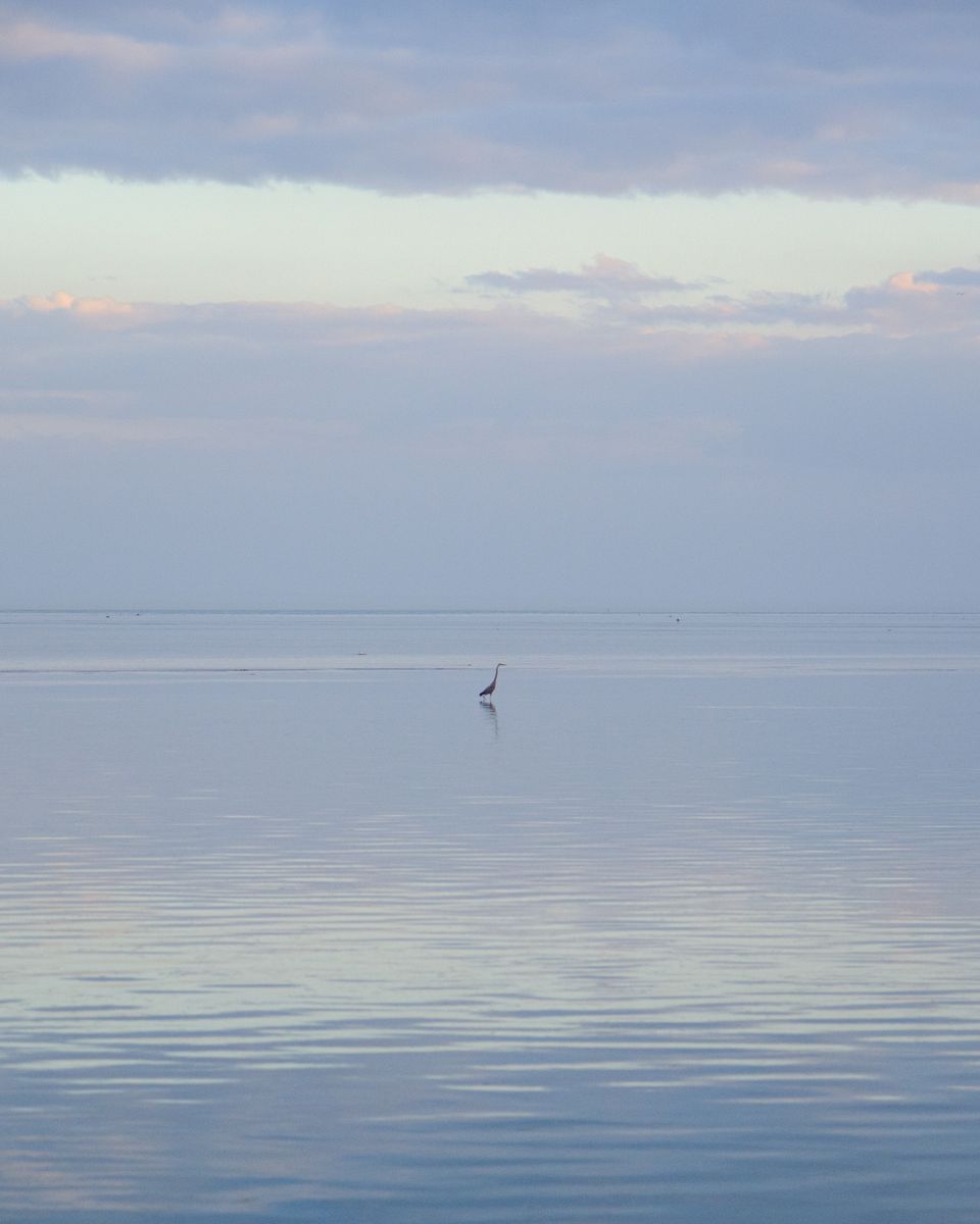 Landscape photograph 106 by Lucas Vertrees