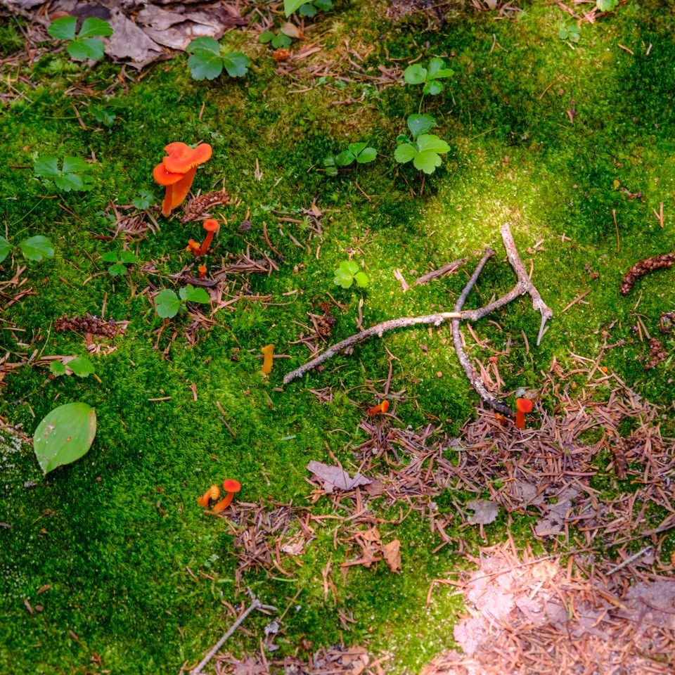 Landscape photograph 29 by Lucas Vertrees