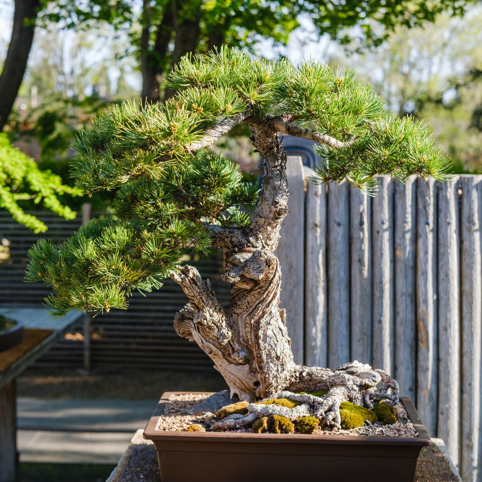 Landscape photograph 195 by Lucas Vertrees
