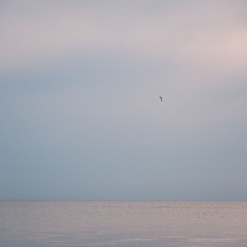Landscape photograph 87 by Lucas Vertrees