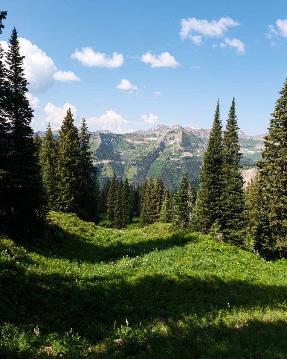 Landscape photograph 69 by Lucas Vertrees