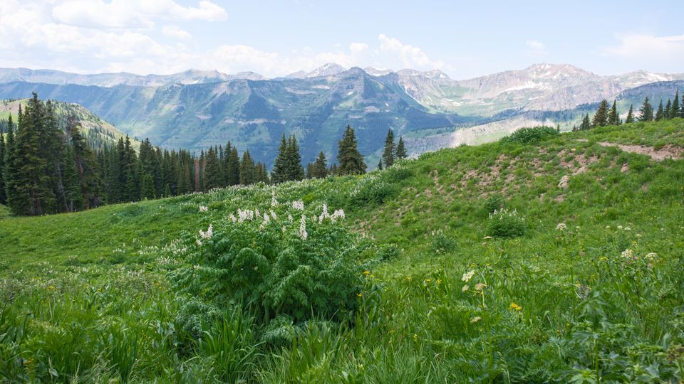 Landscape photograph 135 by Lucas Vertrees