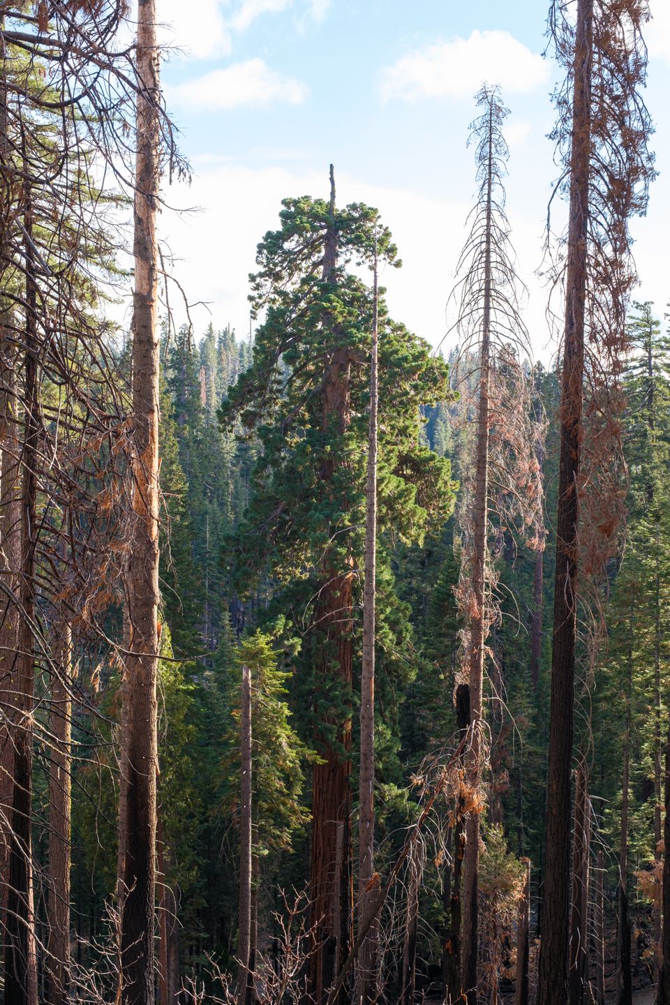 Landscape photograph 12 by Lucas Vertrees