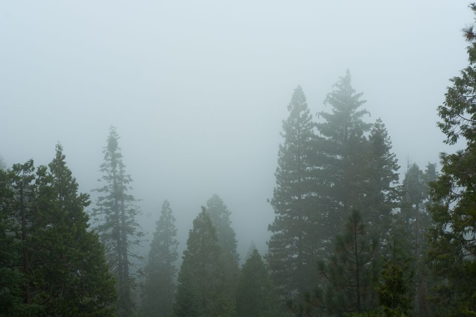 Landscape photograph 78 by Lucas Vertrees