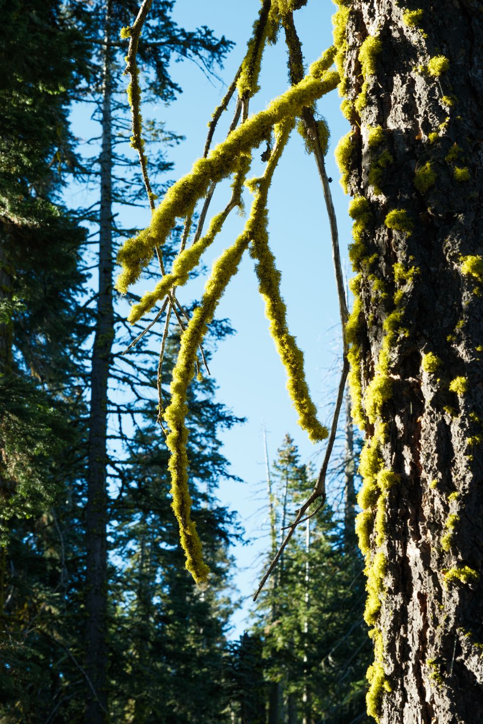 Landscape photograph 182 by Lucas Vertrees