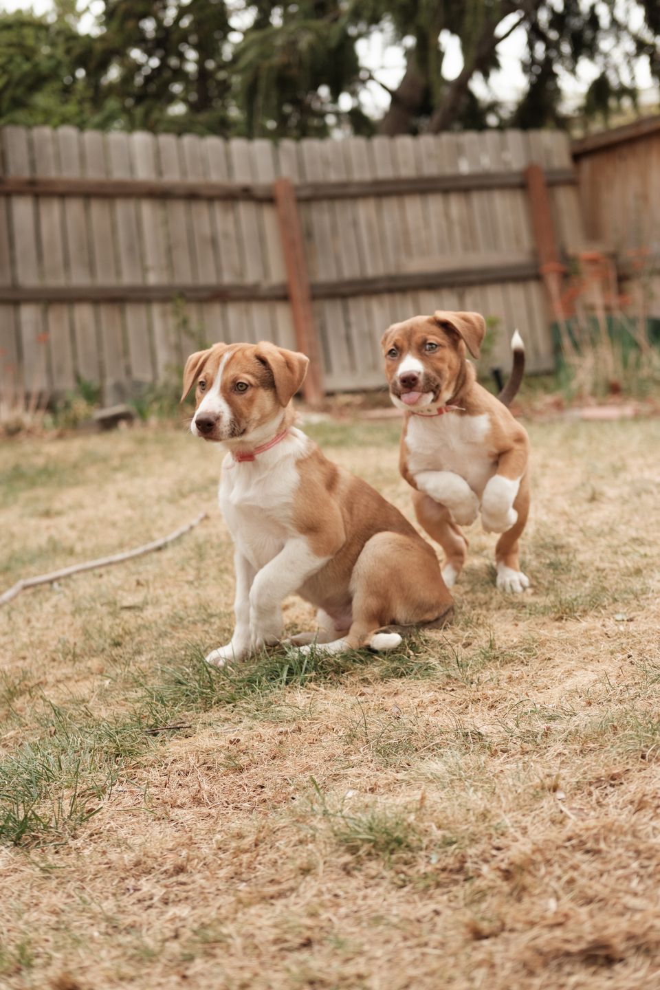 Walter and Penny