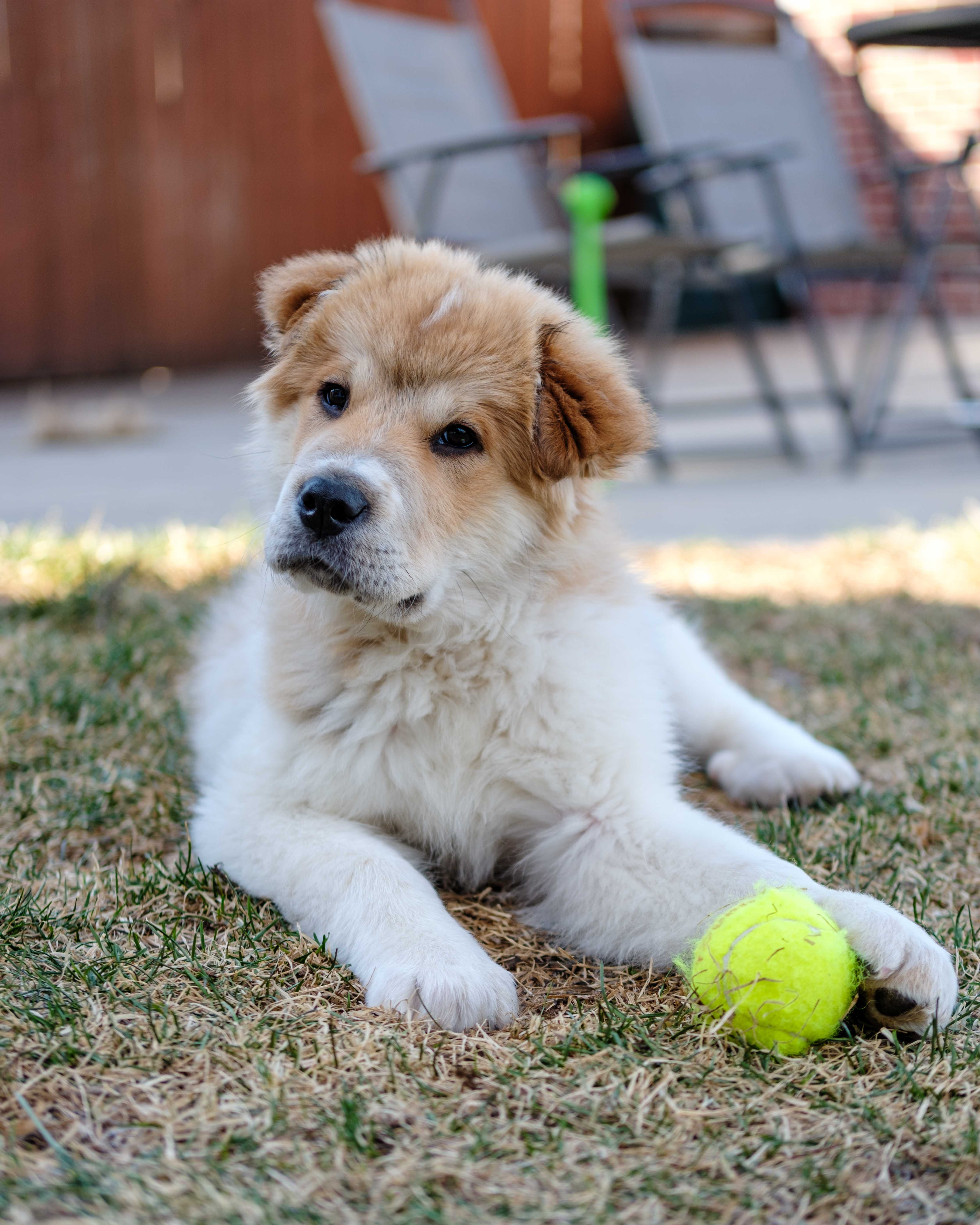 An item in the carousel