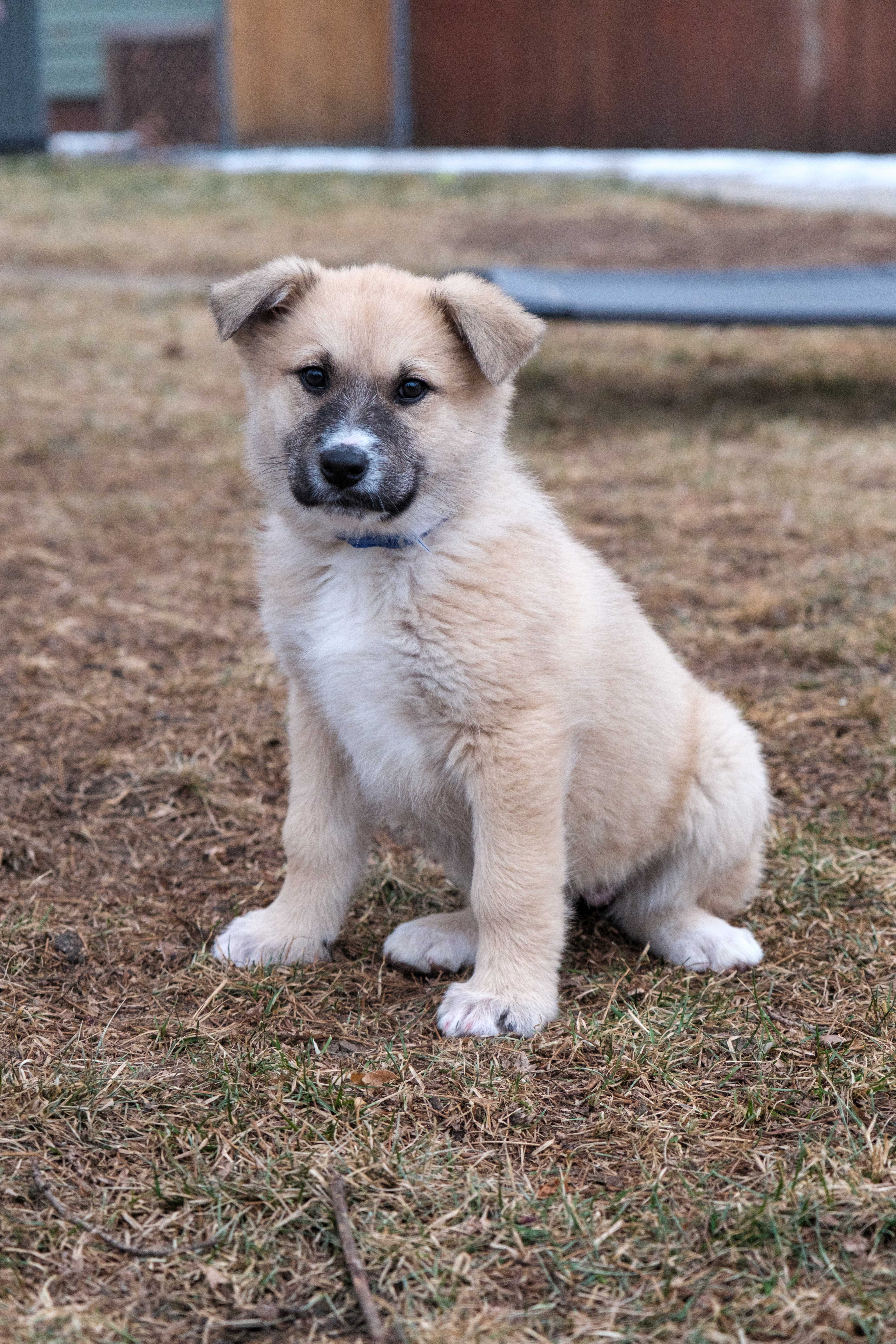 An item in the carousel