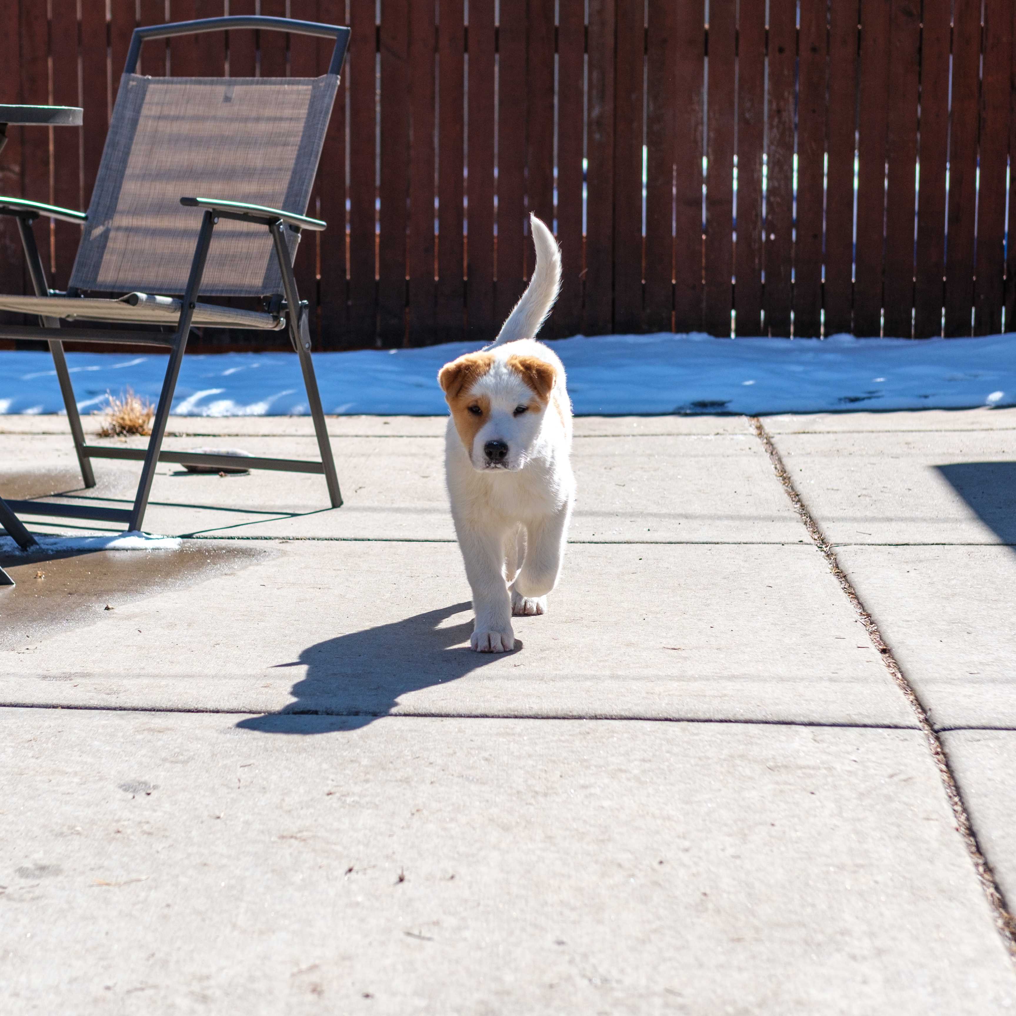 An item in the carousel