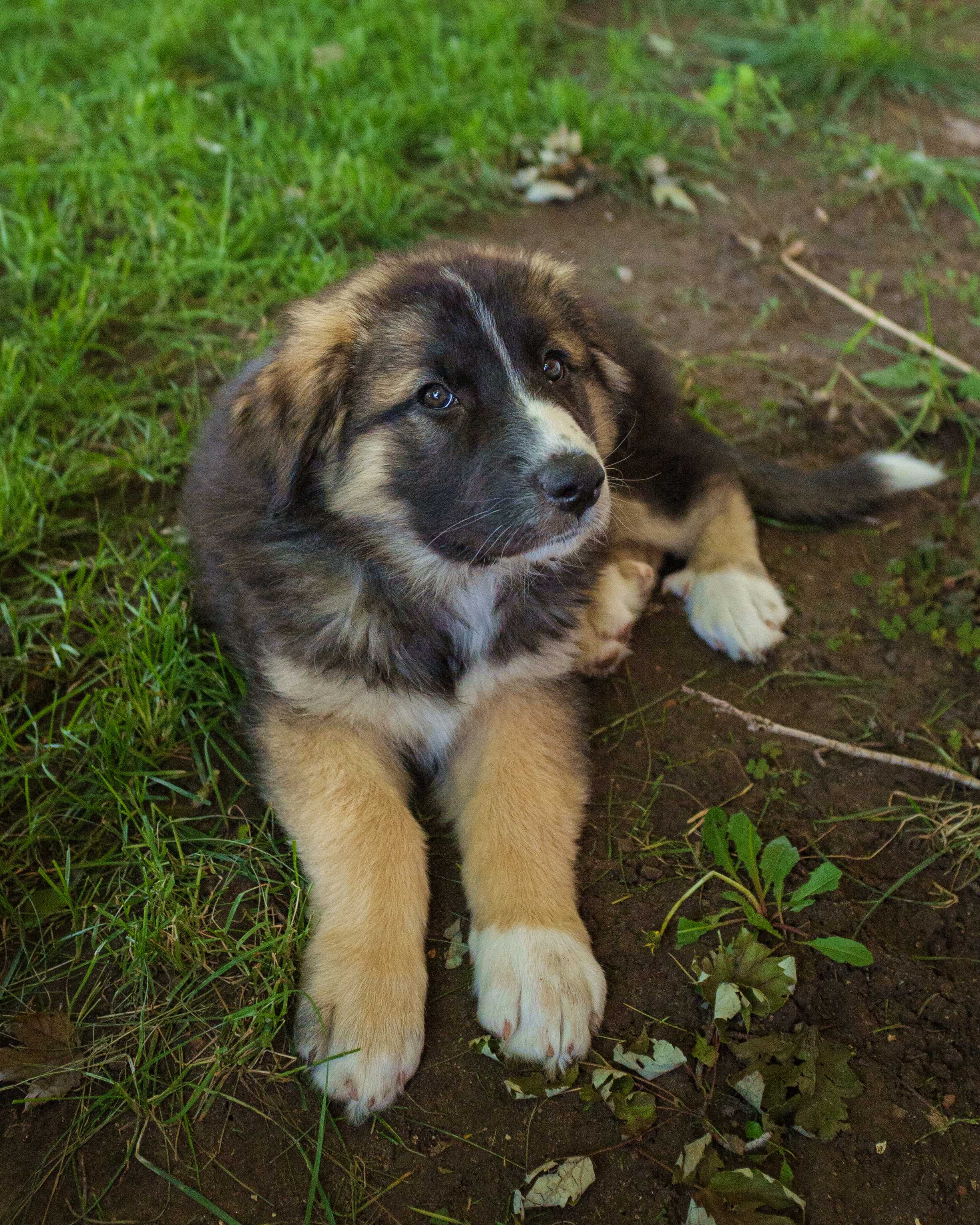 An item in the carousel