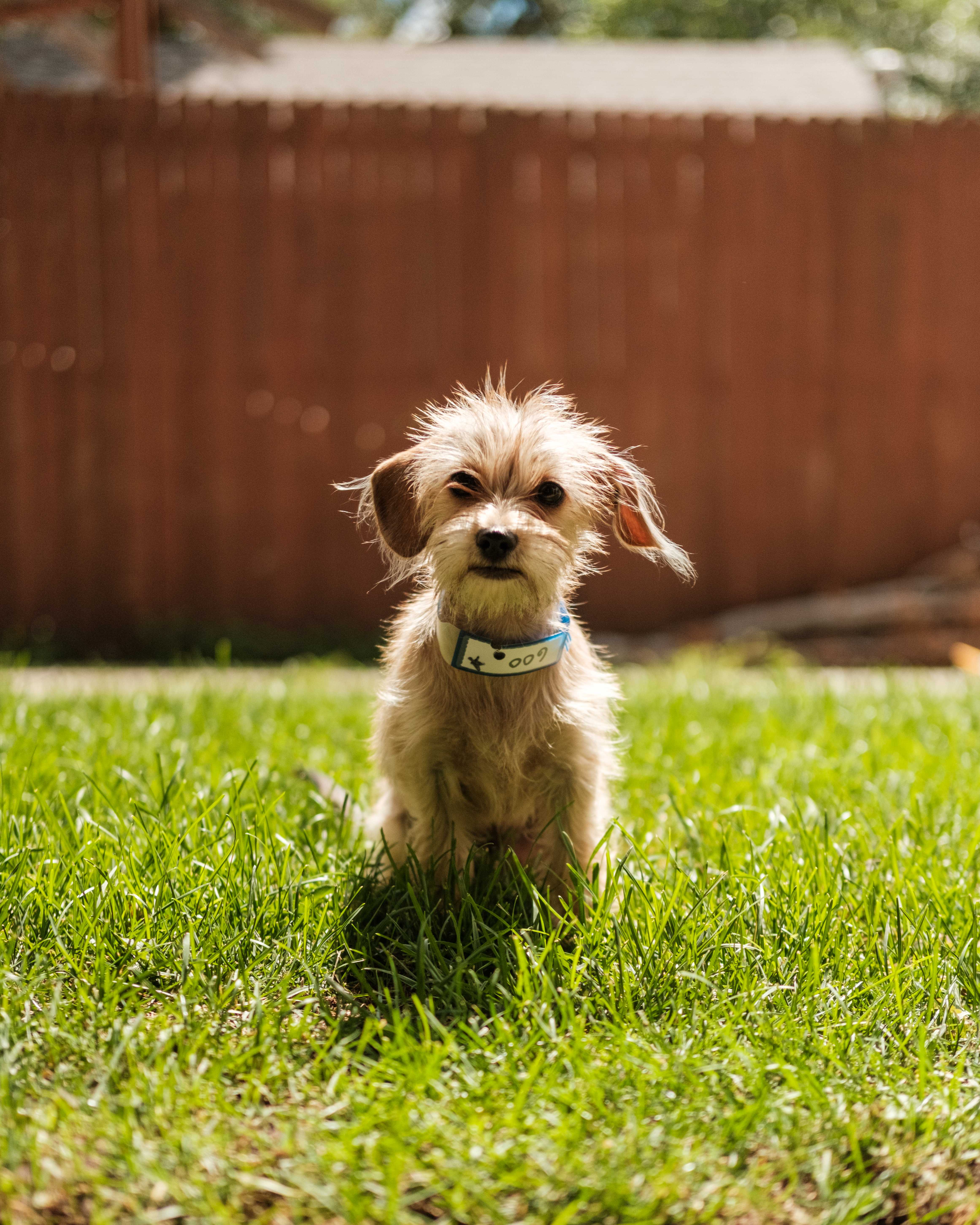 An item in the carousel