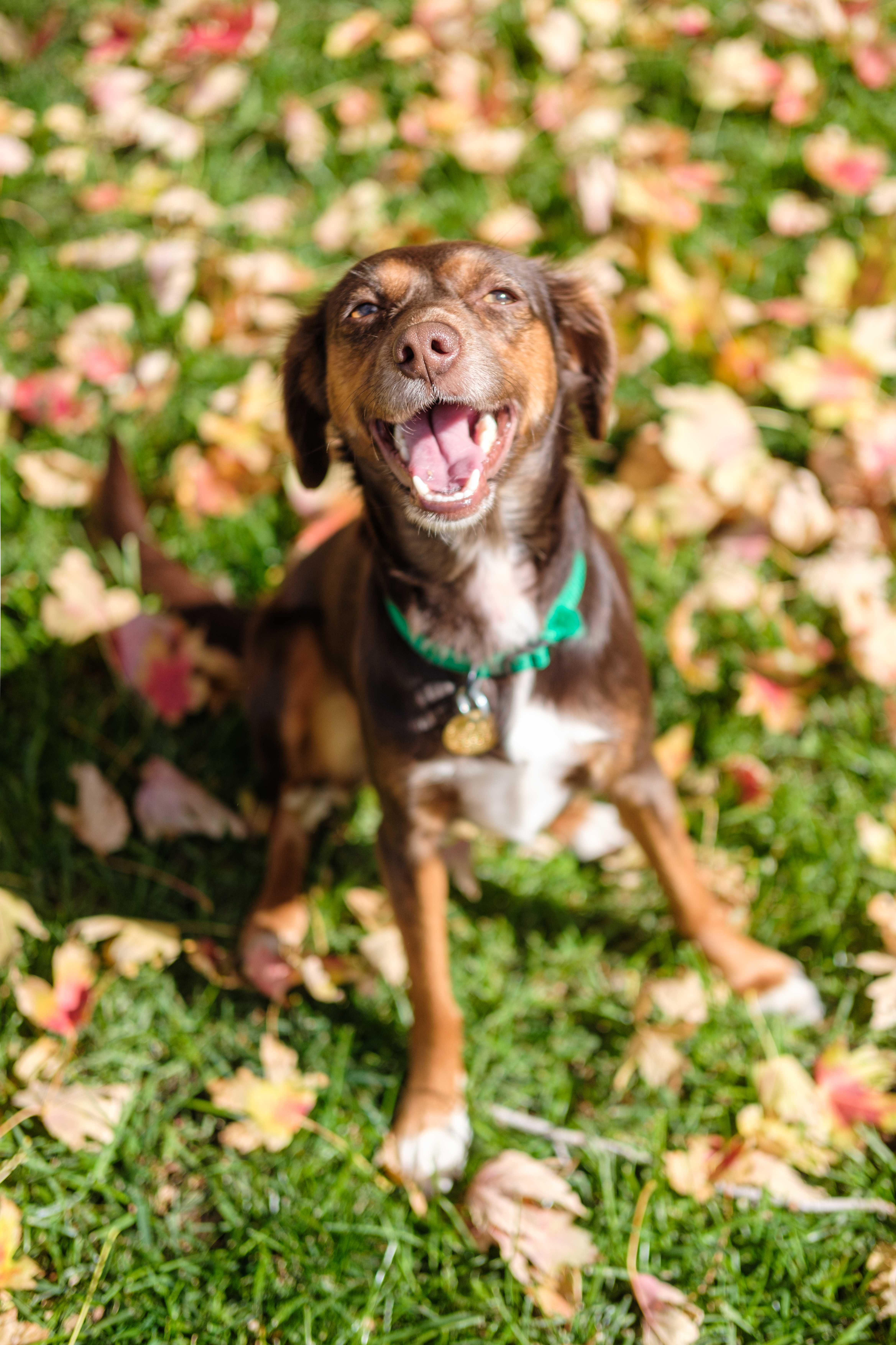 An item in the carousel