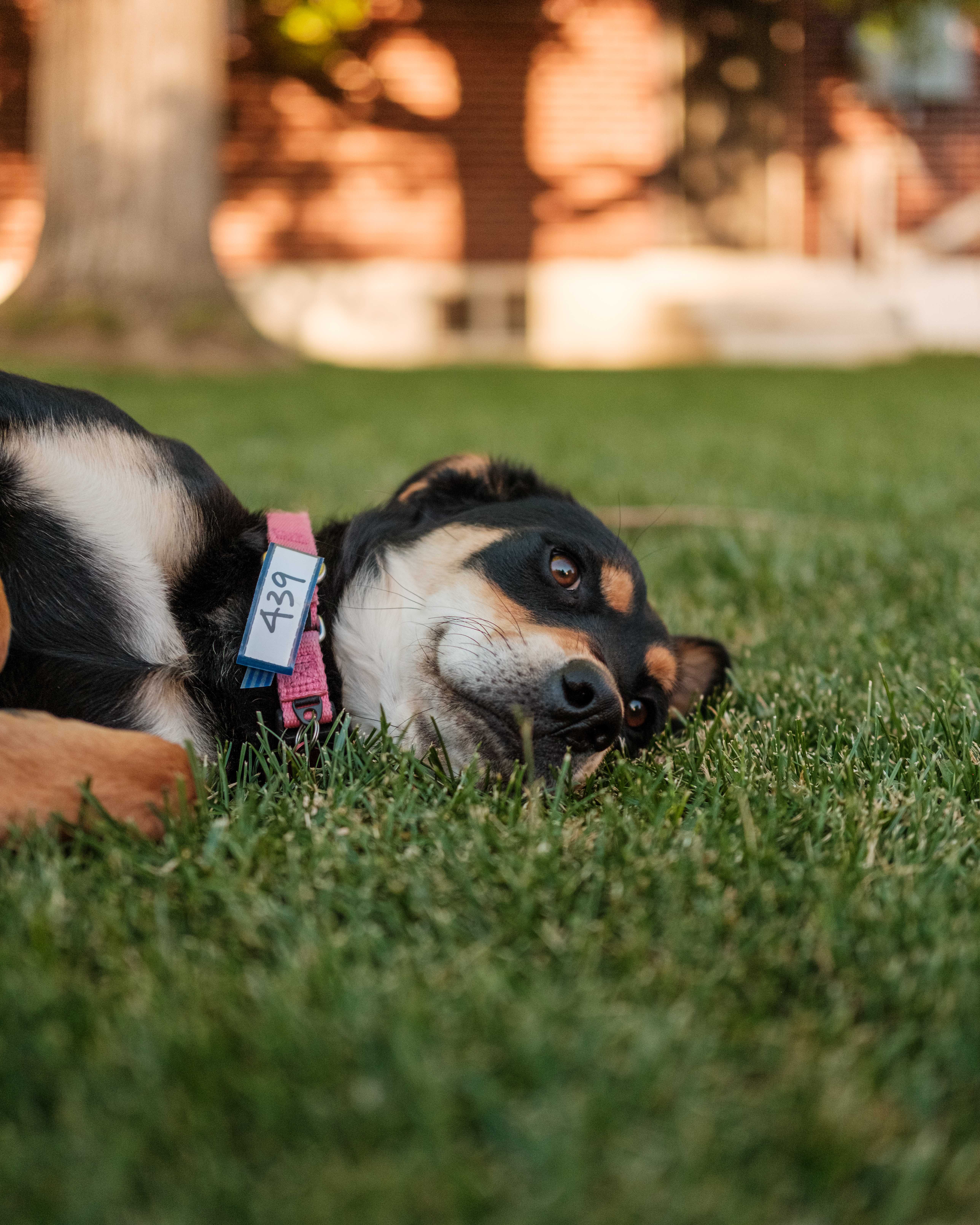 An item in the carousel
