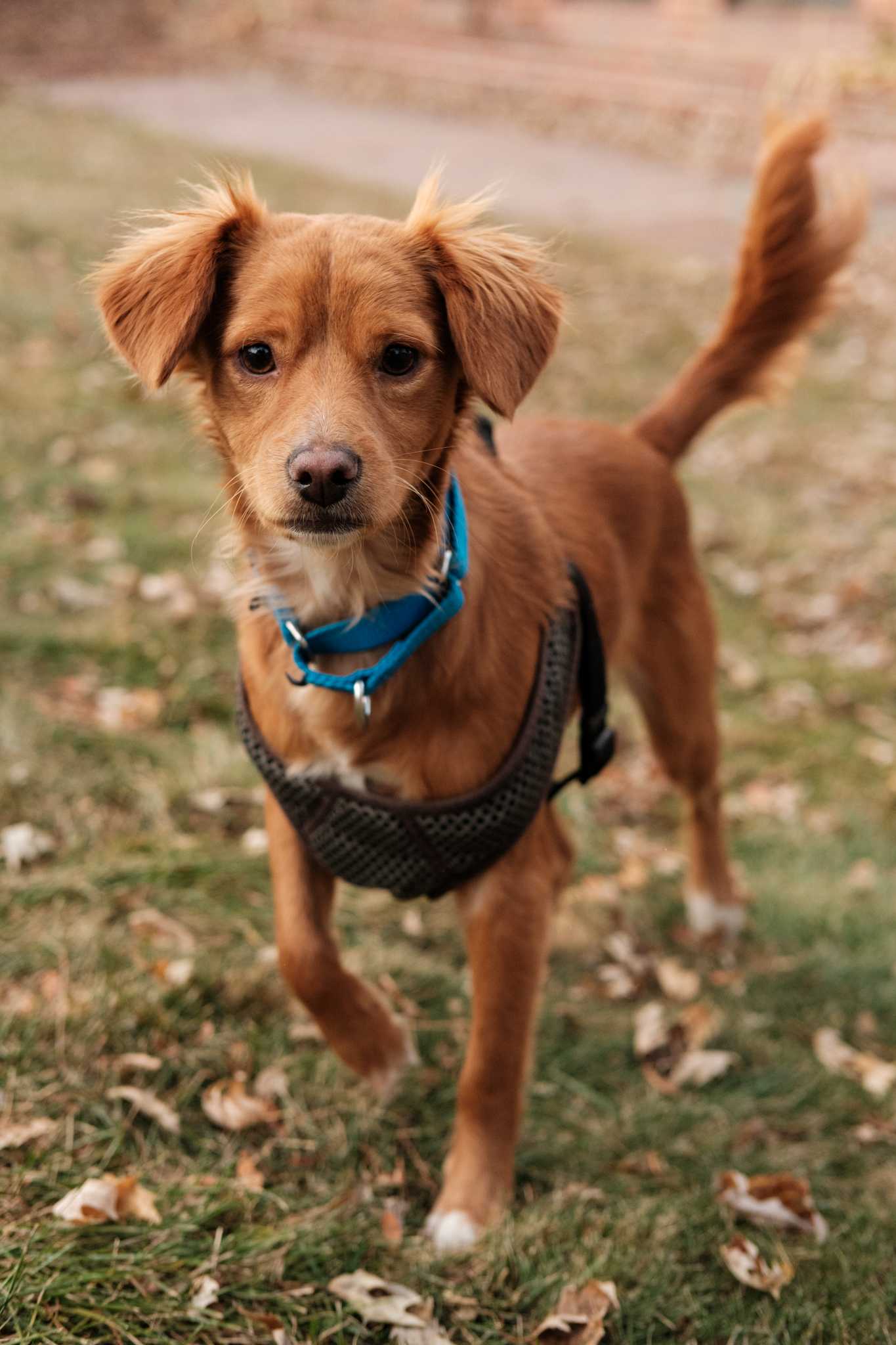 An item in the carousel