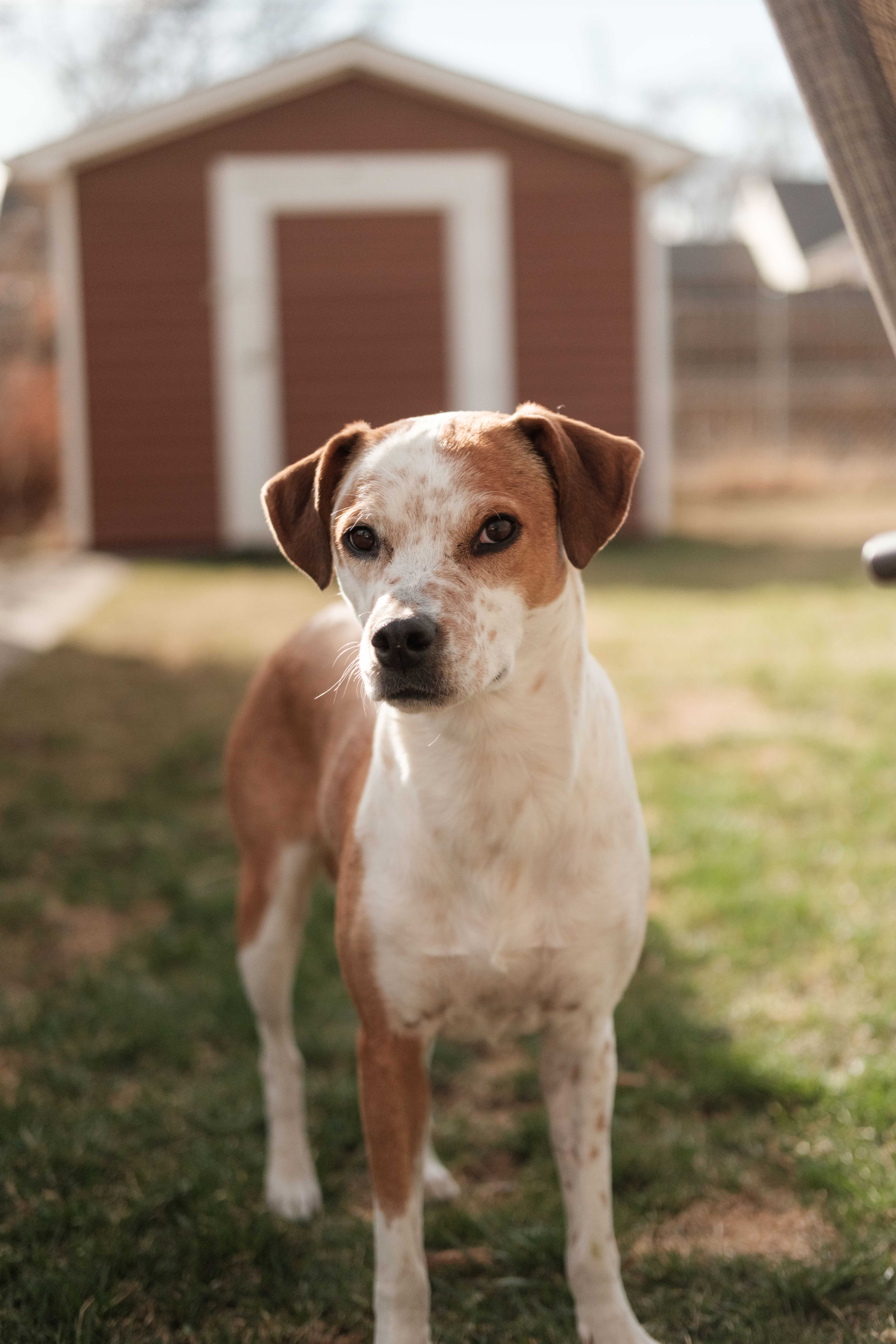 An item in the carousel