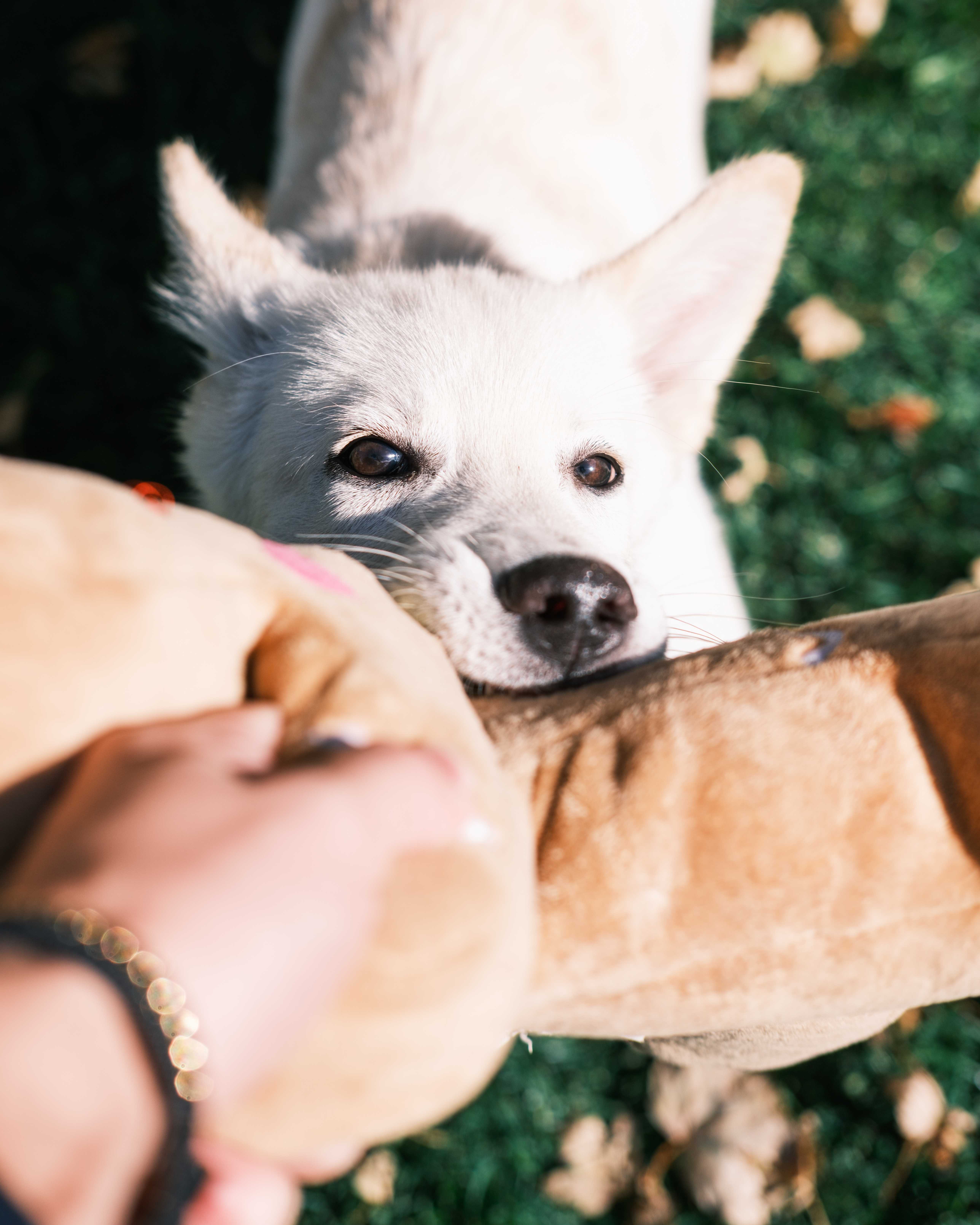 An item in the carousel