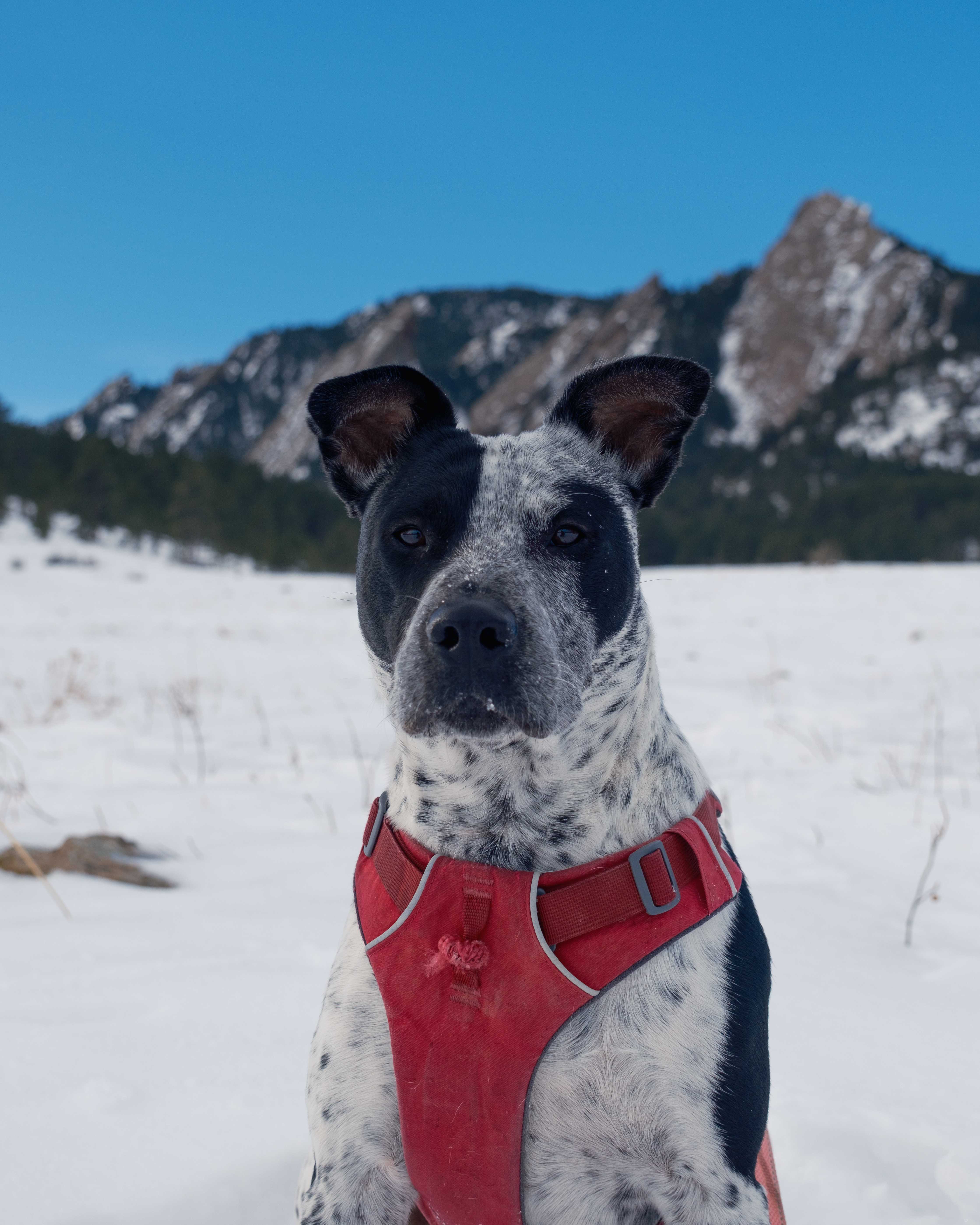 An item in the carousel