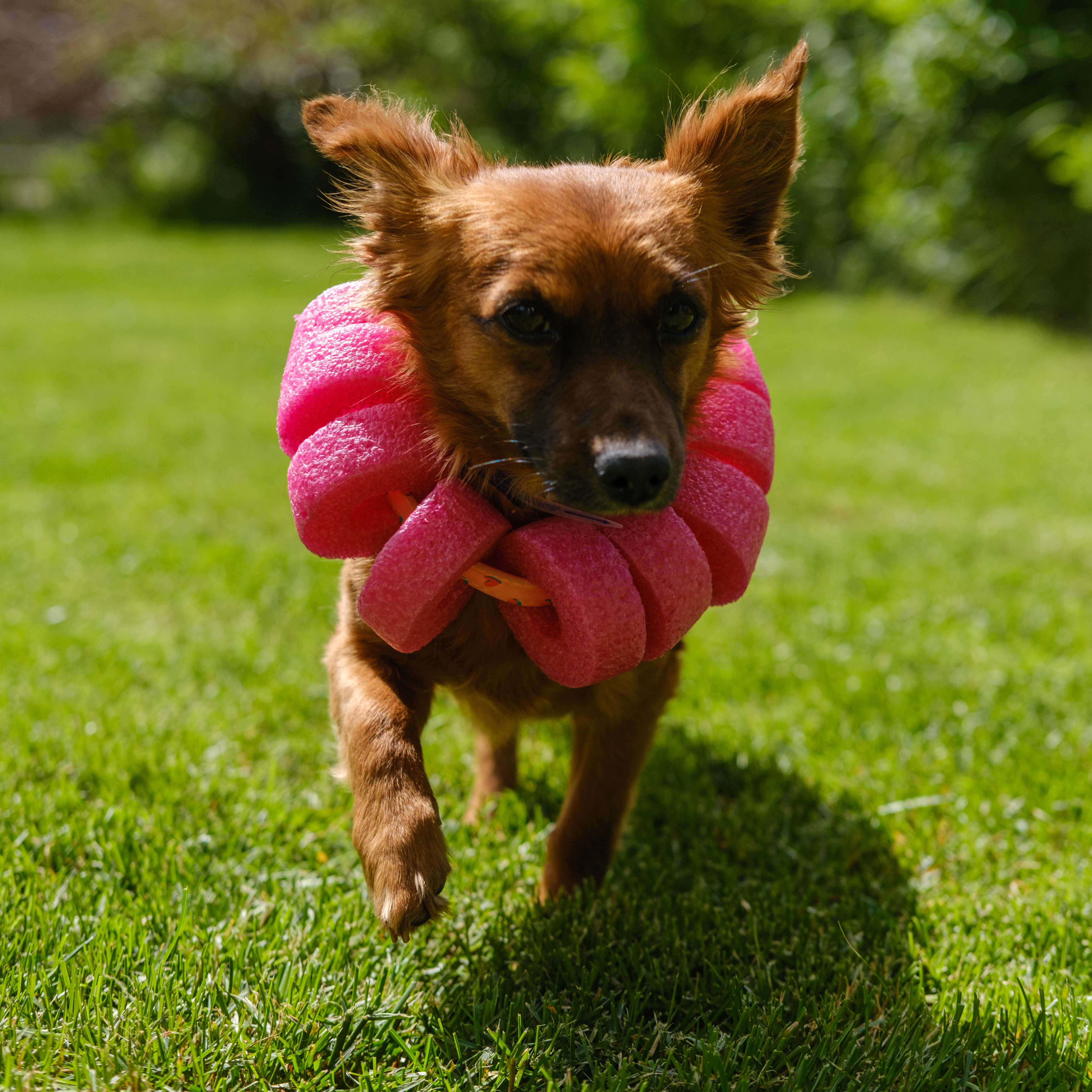 An item in the carousel
