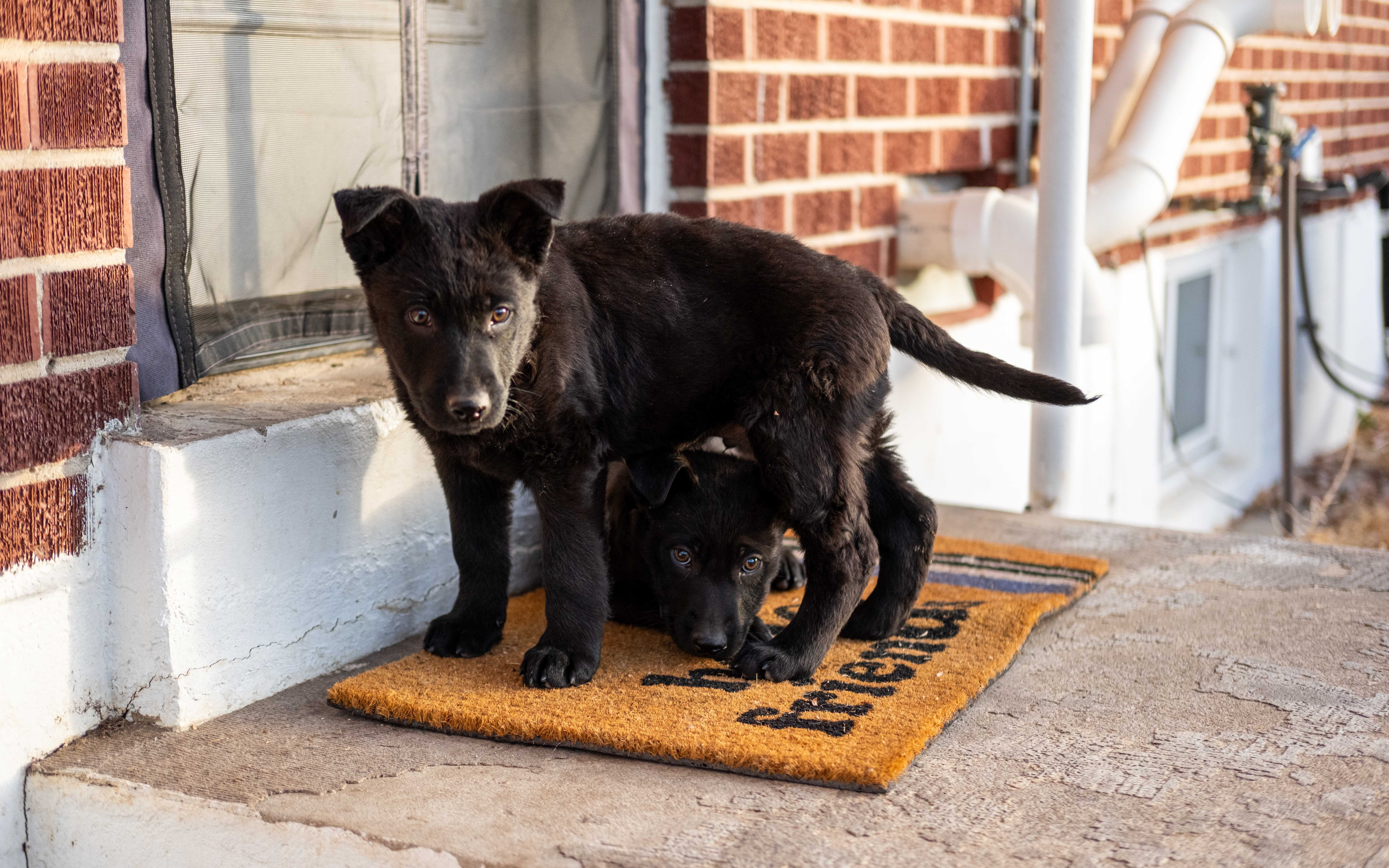 An item in the carousel