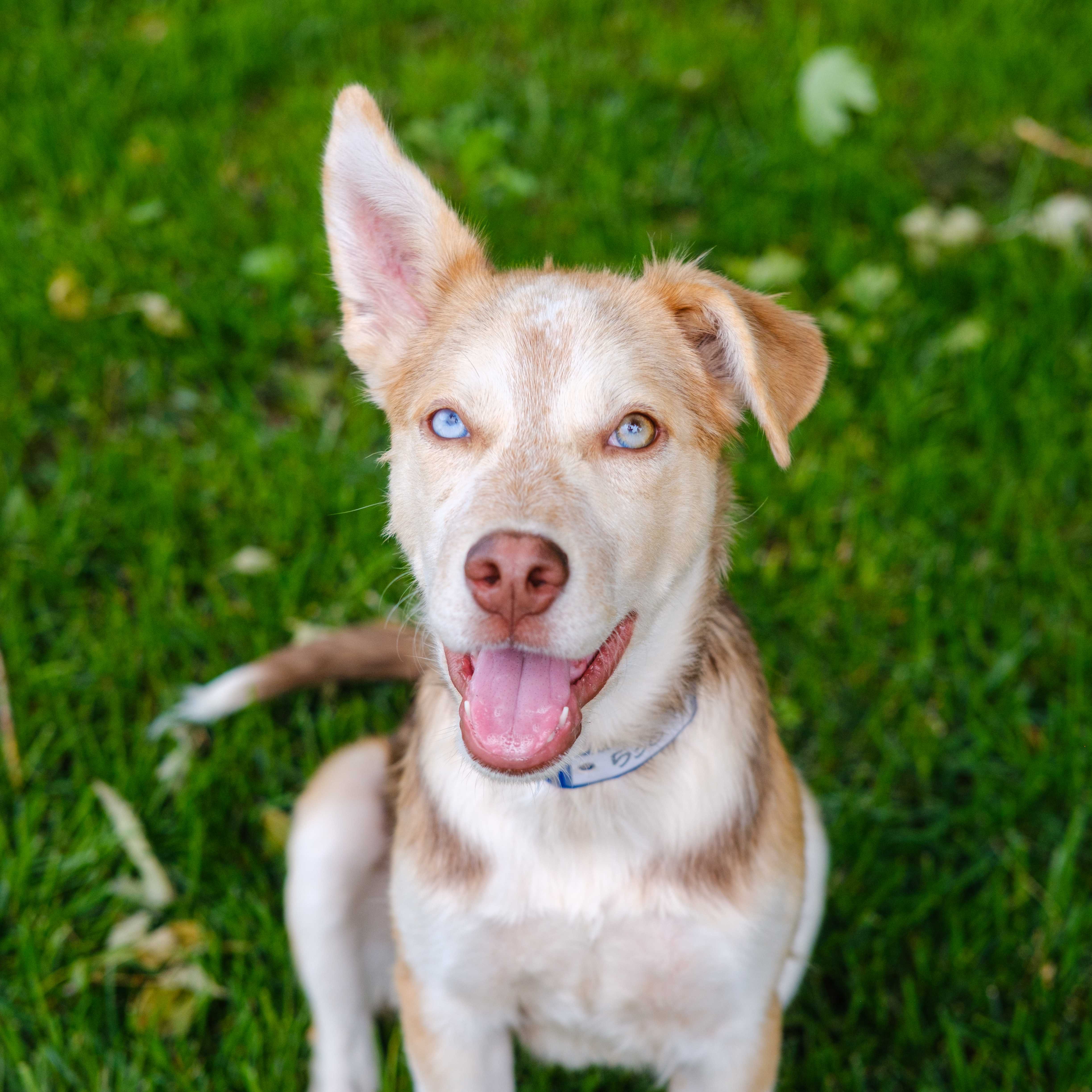 An item in the carousel