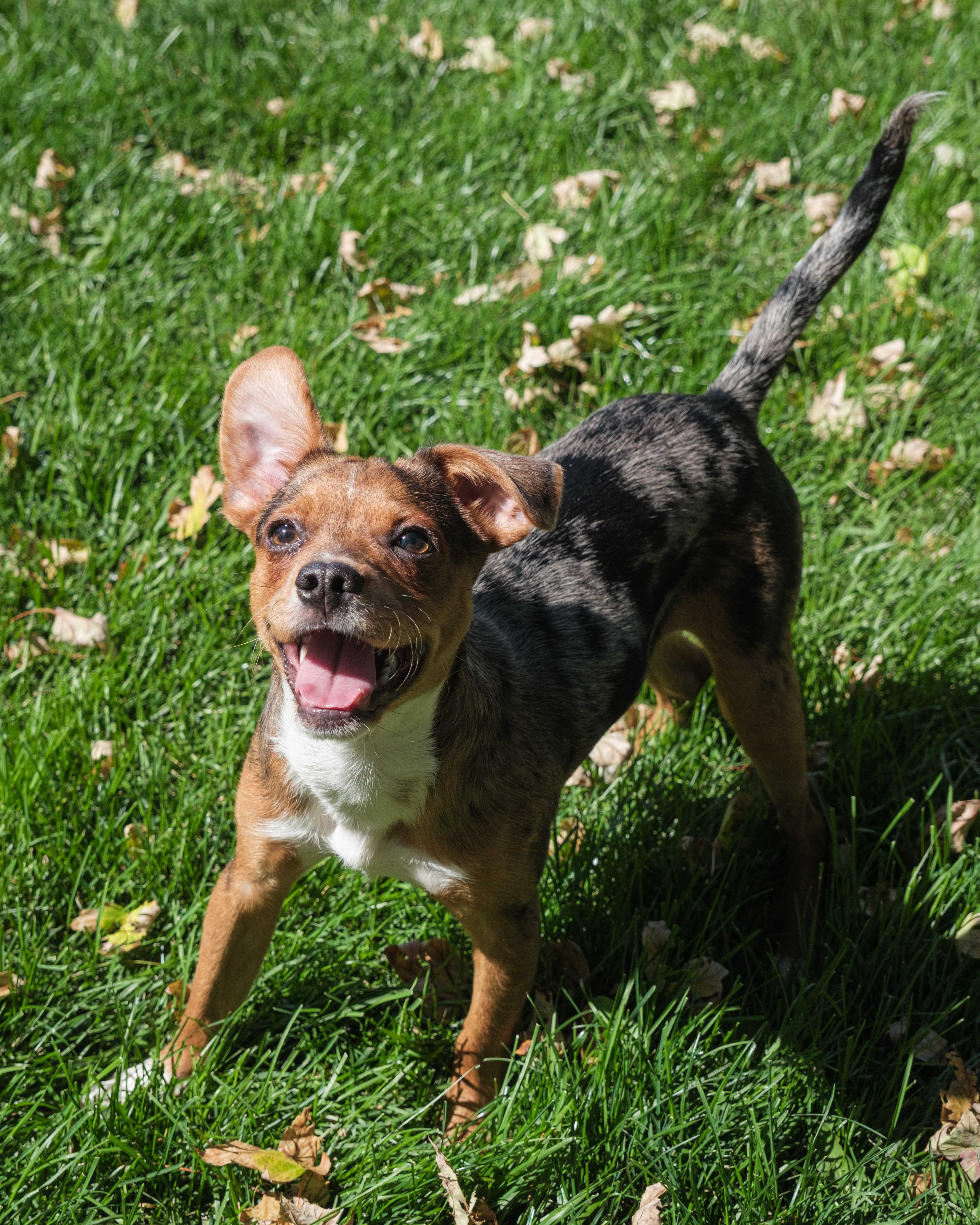 An item in the carousel