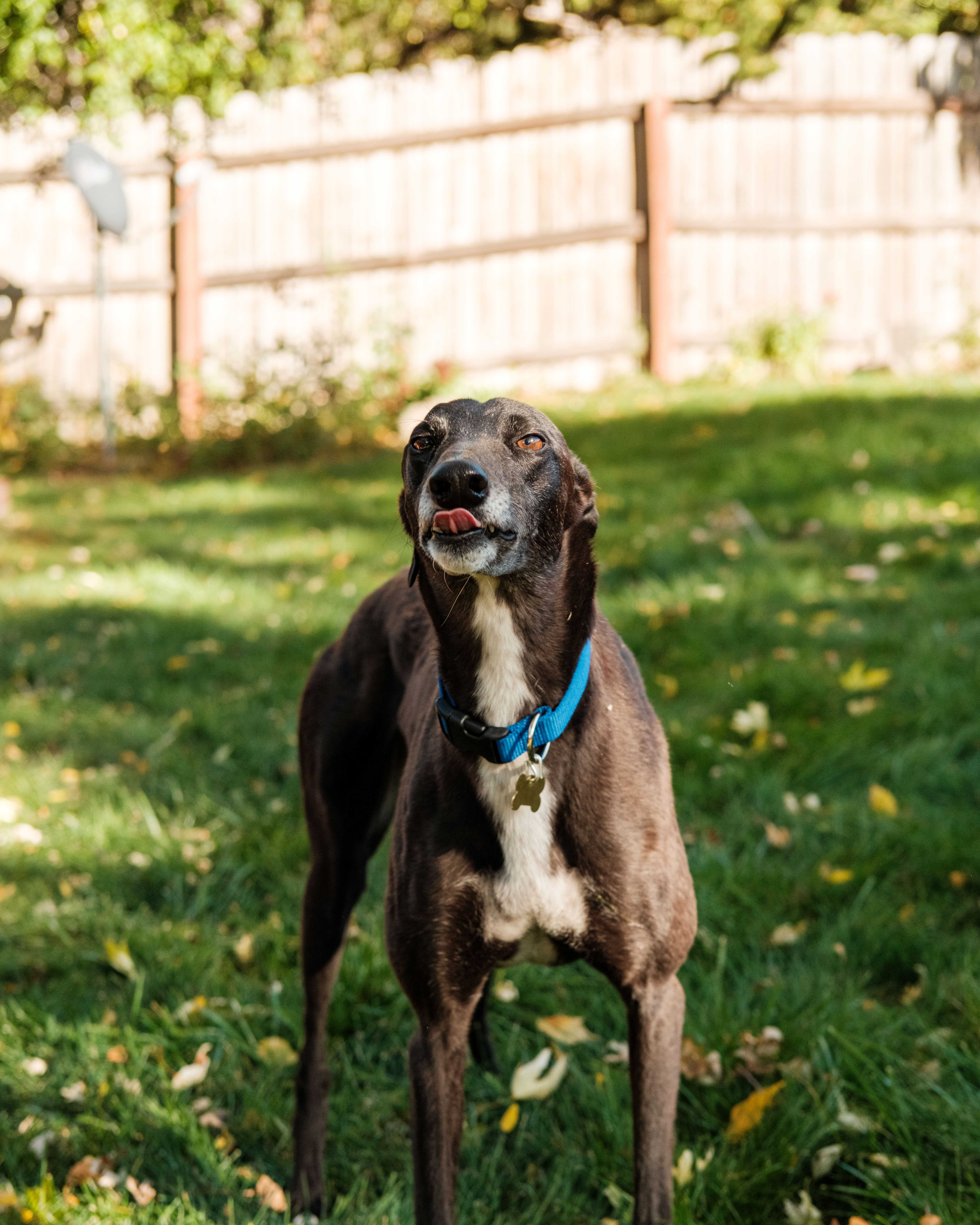 An item in the carousel