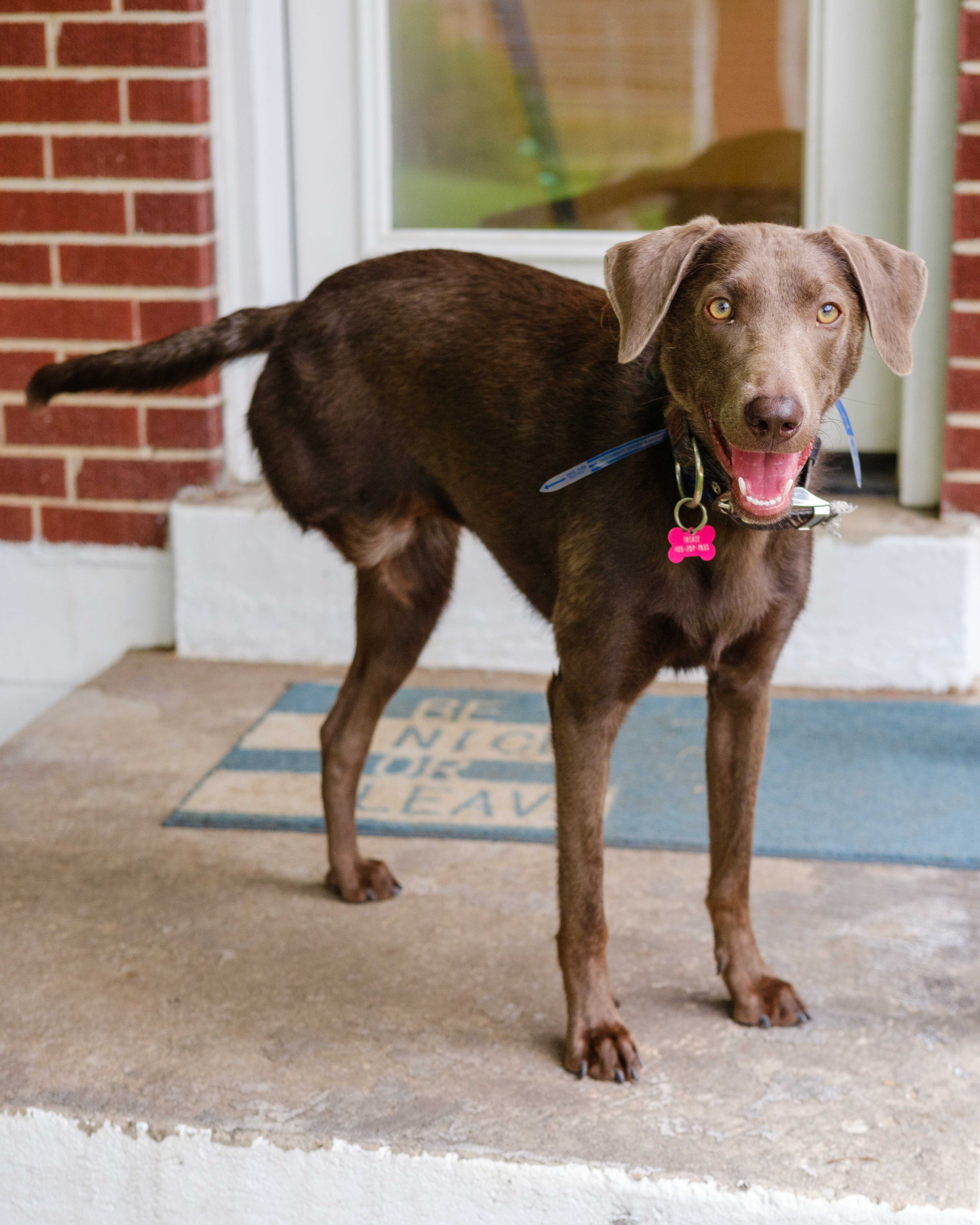 An item in the carousel